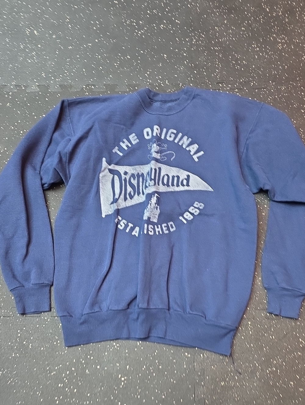 Disney Navy Blue Disneyland Graphic Crewneck Sweatshirt